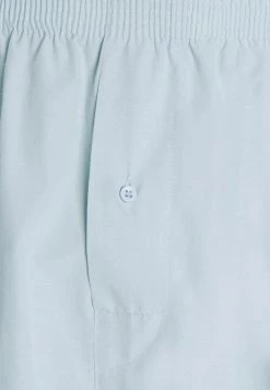 Pier One 5 PACK - Boxer Shorts - Light Blue/white -Pier One Shop 8d526a81d413439291c57bcecfa7d443