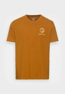 Pier One Print T-shirt - Brown